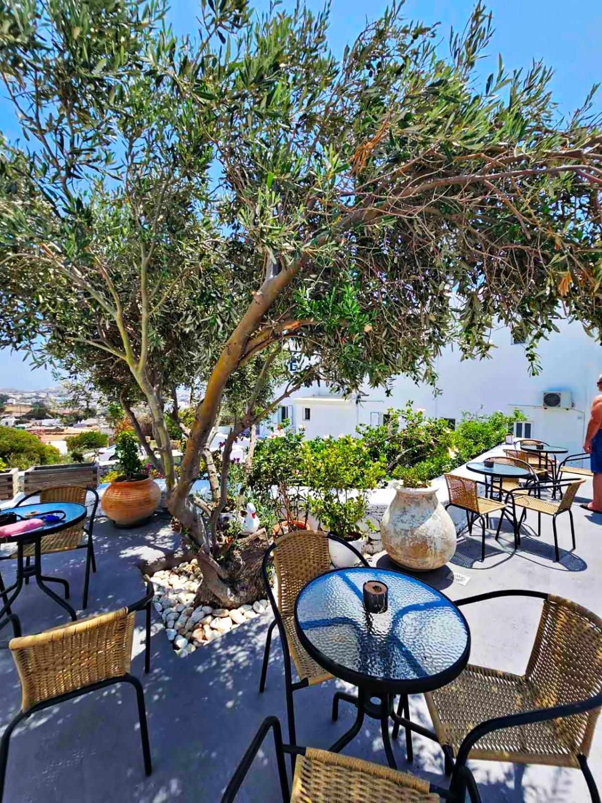 Appartement Mykonian Breeze à Ano Mera Extérieur photo